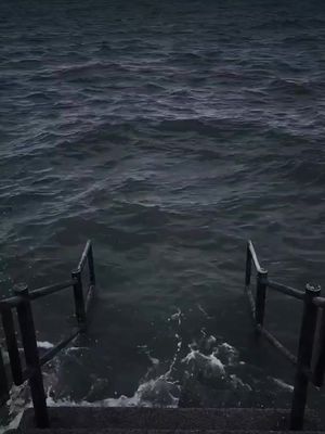 Memes on the Earth🤣